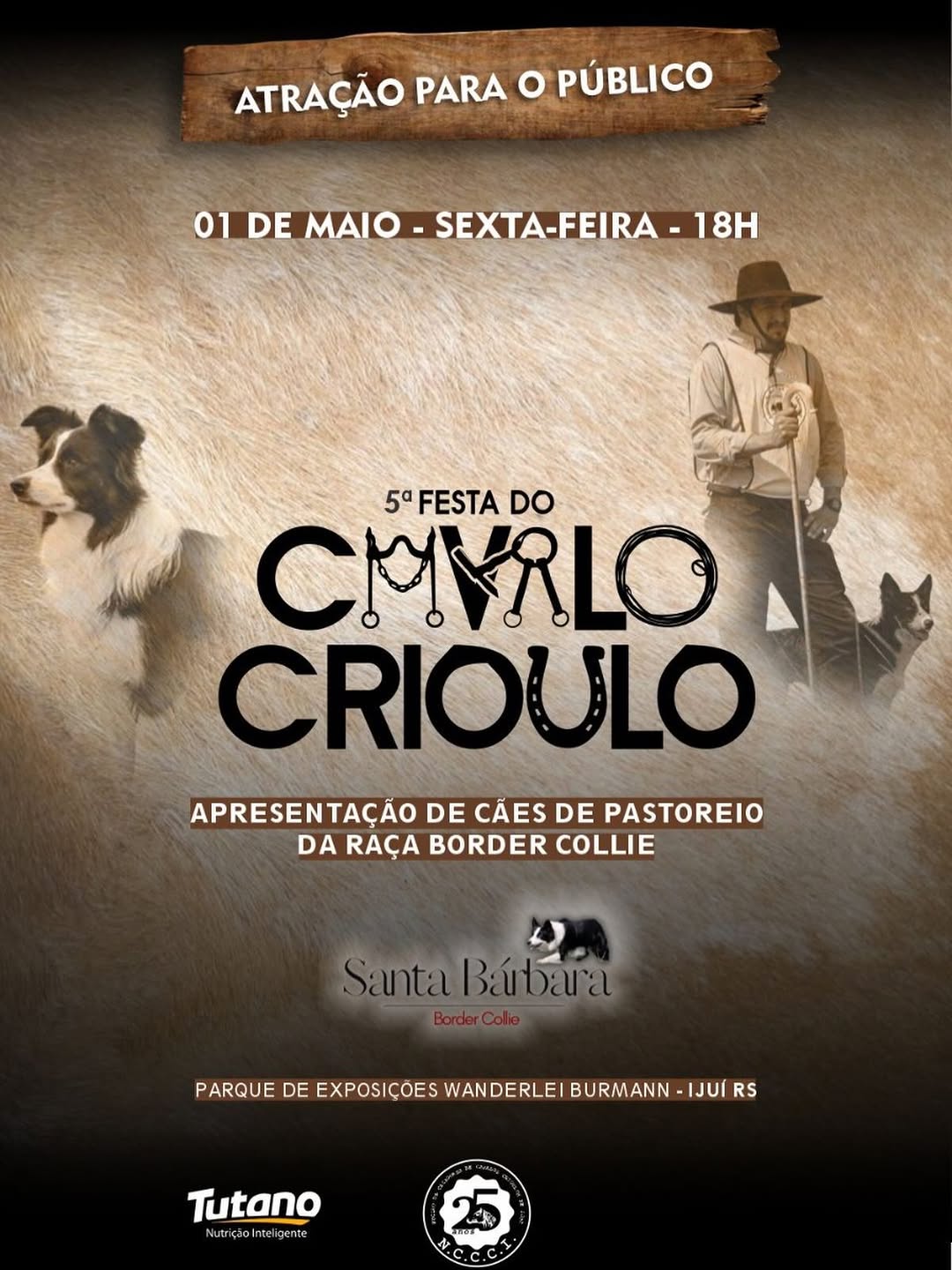 Apresentação de Cães Border Collie - 5ª Festa do Cavalo Crioulo