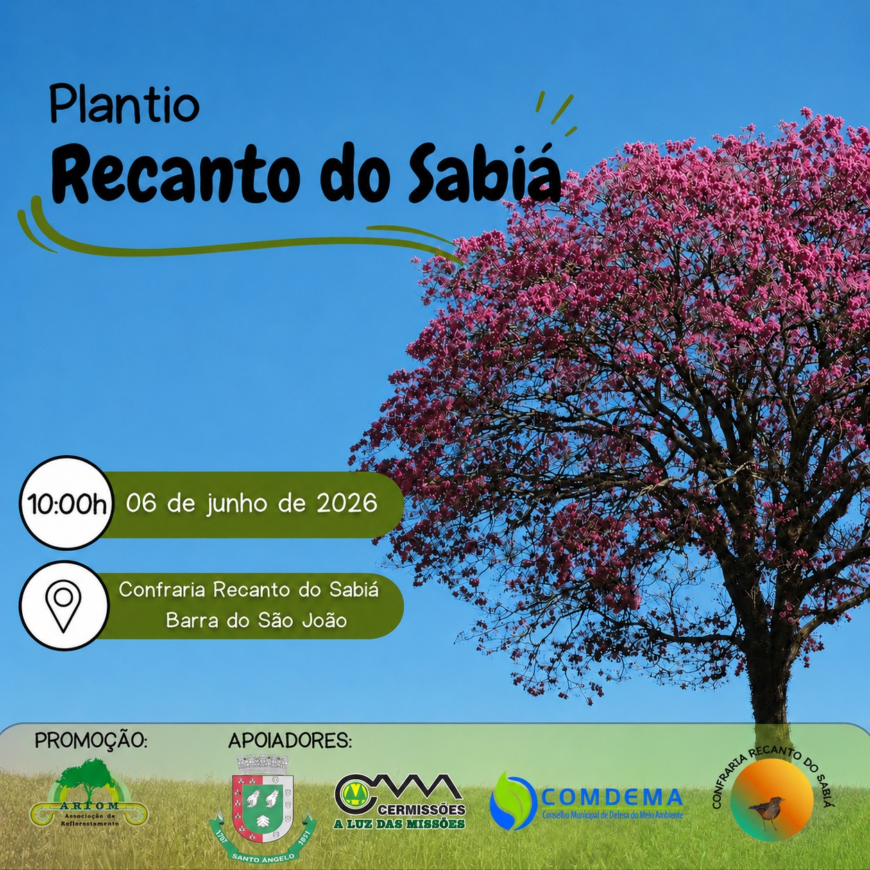 Plantio Recanto do Sabiá