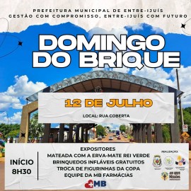 16ª Edição do Domingo do Brique