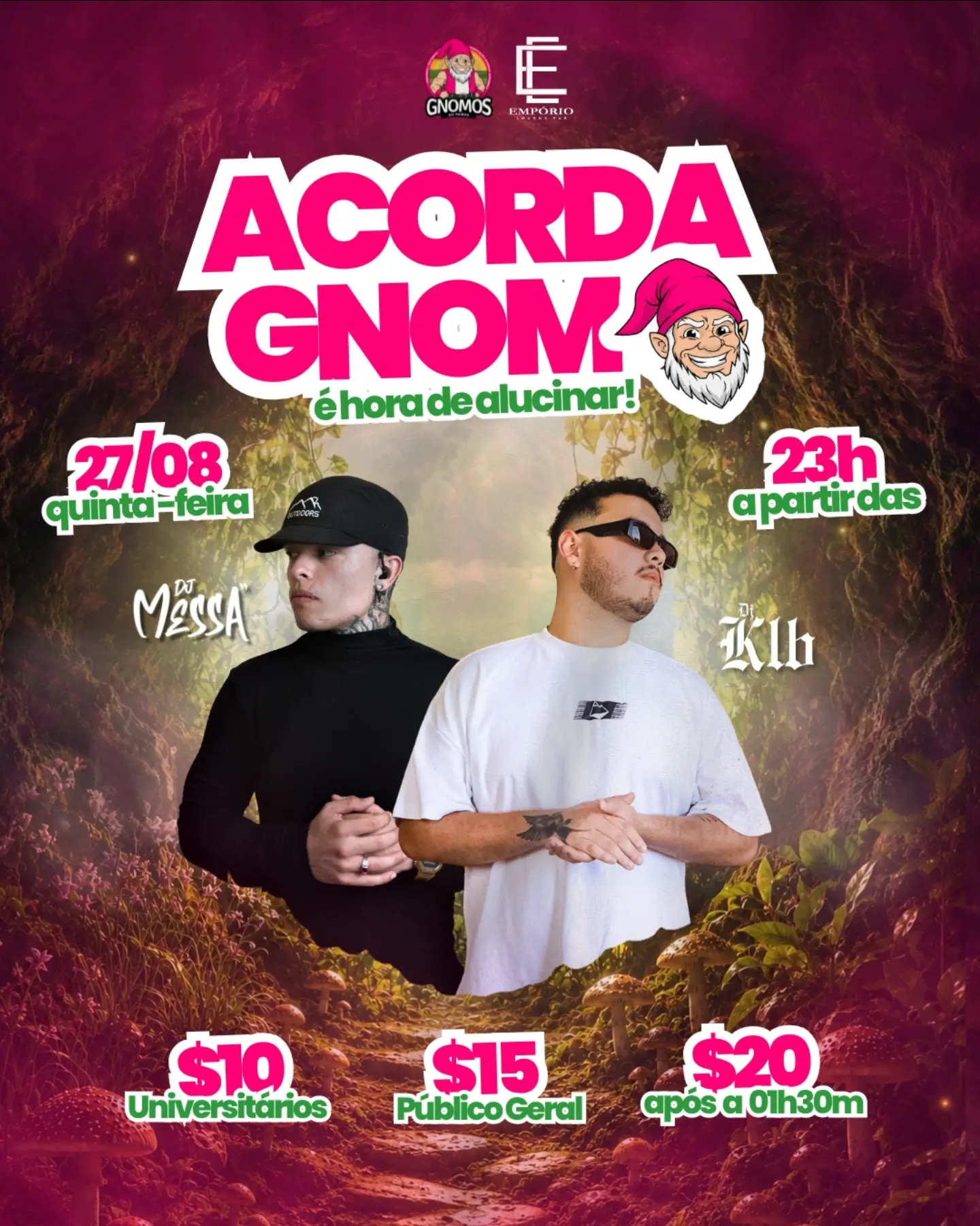 Acorda Gnomo - é hora de alucinar!